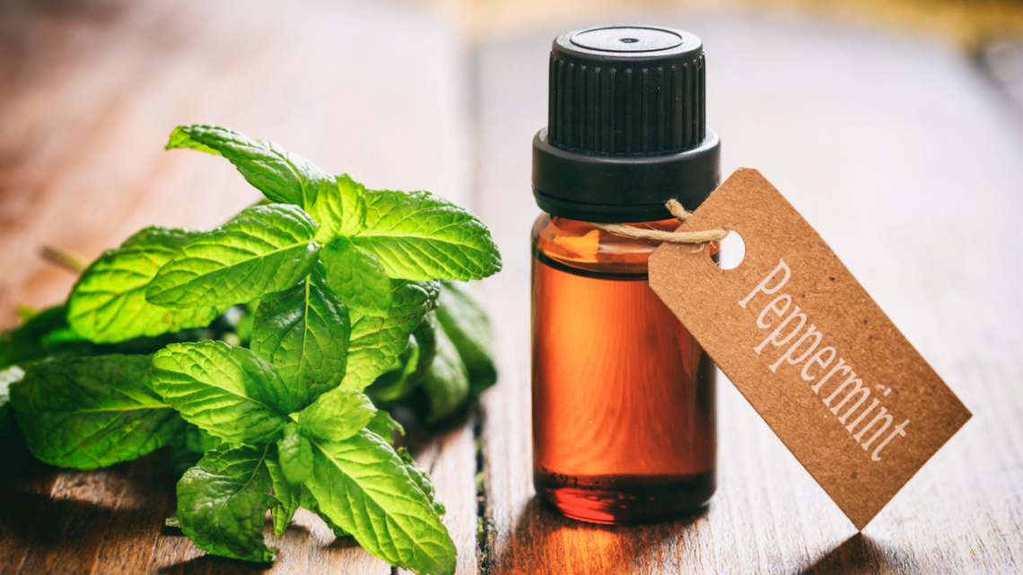is peppermint oil safe for dogs