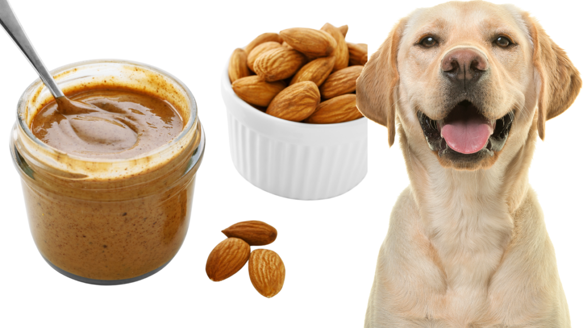 Can Dogs Eat Almond Butter