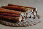 are bully sticks safe for dogs