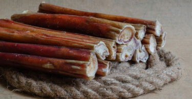 are bully sticks safe for dogs