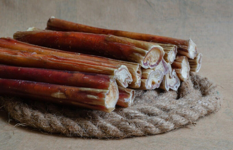 are bully sticks safe for dogs