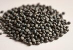 can dogs eat chia seeds