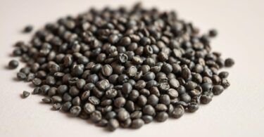 can dogs eat chia seeds