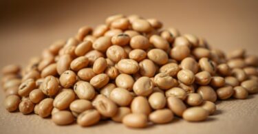 can dogs eat pinto beans
