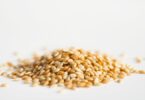 can dogs eat sesame seeds