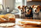 can dogs eat tortillas