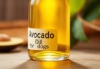 can dogs have avocado oil