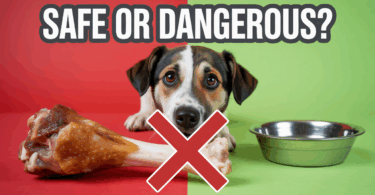 are chicken bone sbasd for dogs