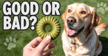 are greenies good for dogs