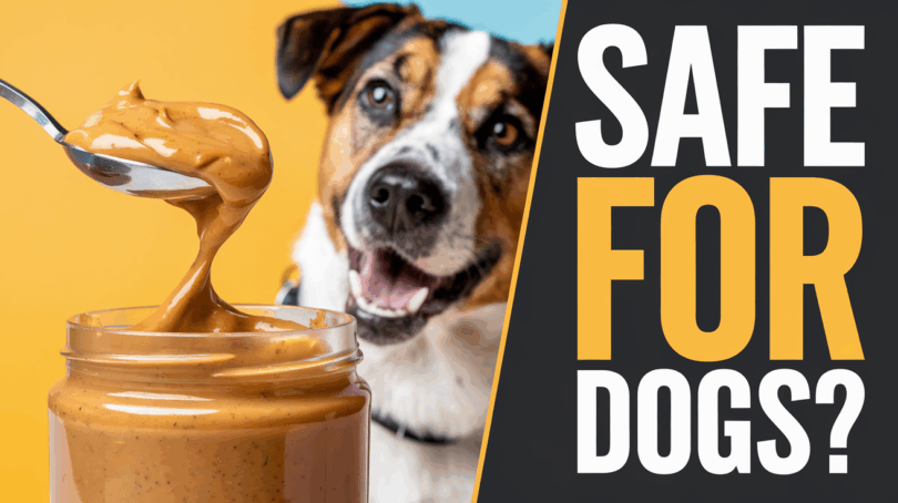 what peanut butter is safe for dogs