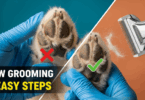 How to Groom Dog Paws
