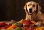Best Seasonings for Dogs