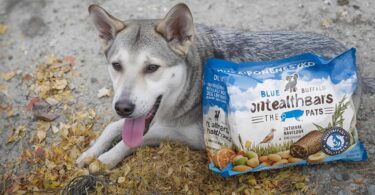 Are Blue Buffalo Health Bars Good for Dogs?