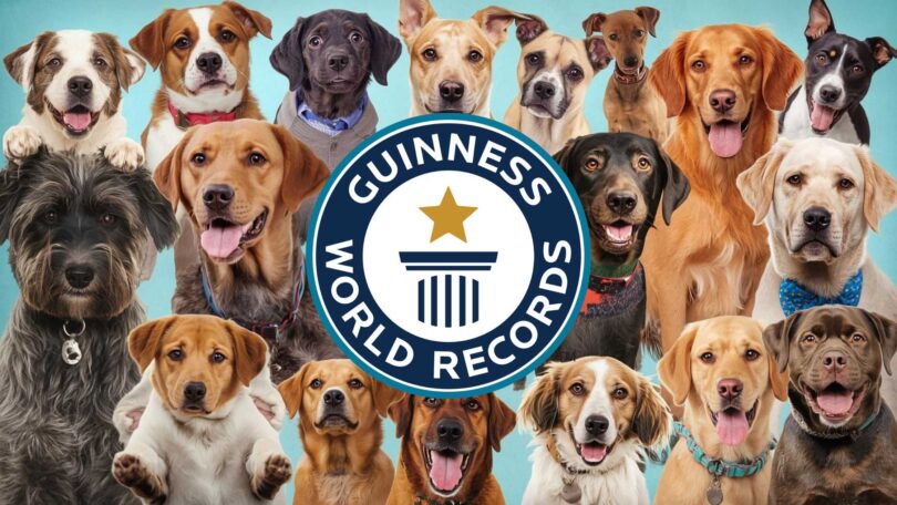 World’s Most Amazing Dog Facts From Guinness World Records
