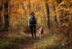 Things To Do With Your Dog