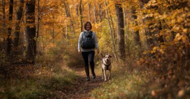 Things To Do With Your Dog