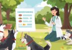Understanding a Husky's Nutritional